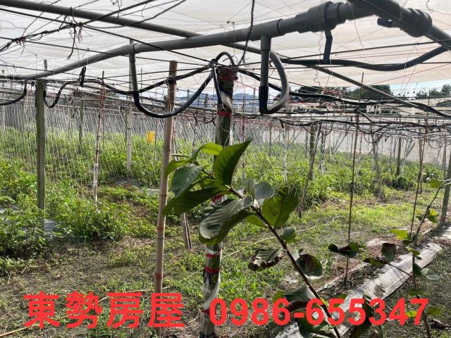苗栗卓蘭透天-14
