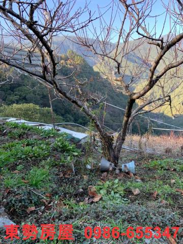 台中和平休閒地-2