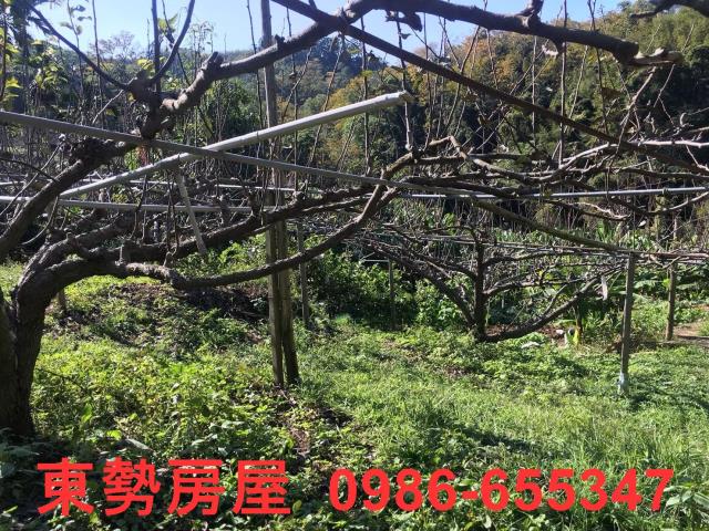 台中休閒地-9