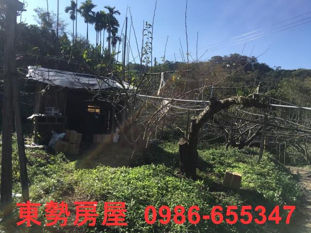 台中休閒地-1
