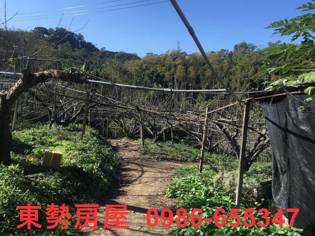 台中休閒地-4