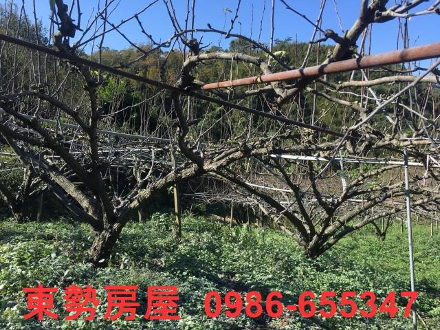 台中休閒地-5