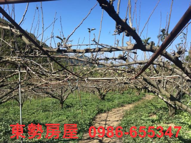 台中休閒地-6