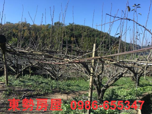 台中休閒地-7