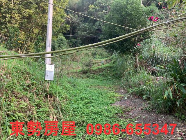 東勢農地-0