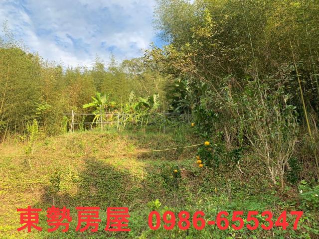 東勢農地-1