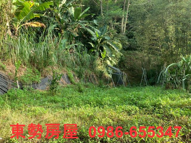 東勢農地-3