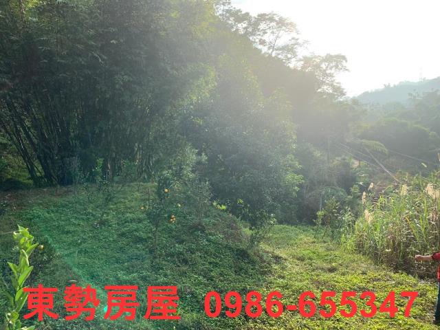 東勢農地-4