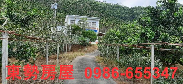 台中東勢農地-1