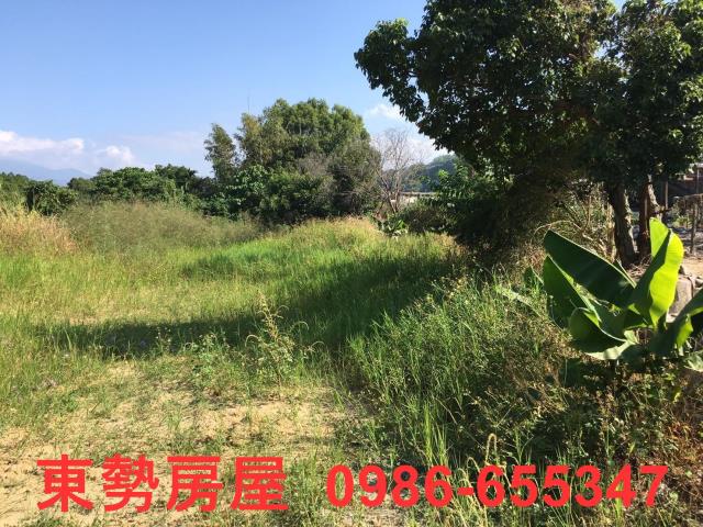 石岡農地-9
