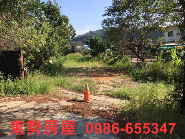 石岡農地-3