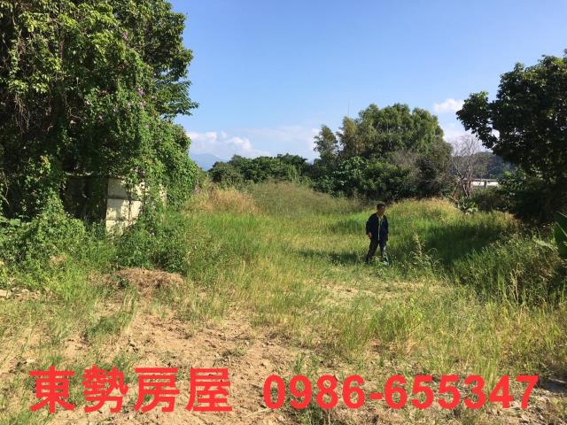 石岡農地-7