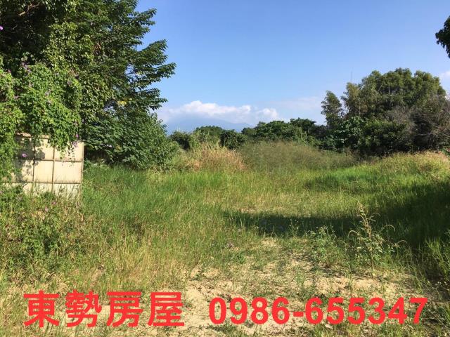 石岡農地-8