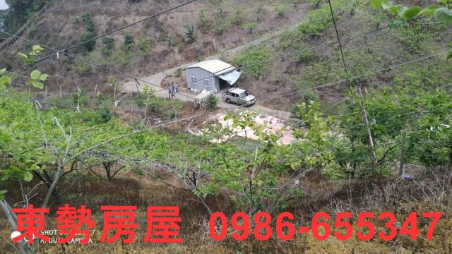 台中農地-0