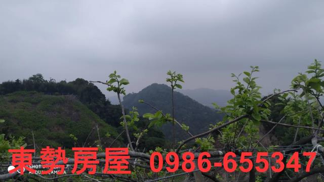 台中農地-3