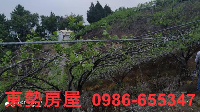 台中農地-4