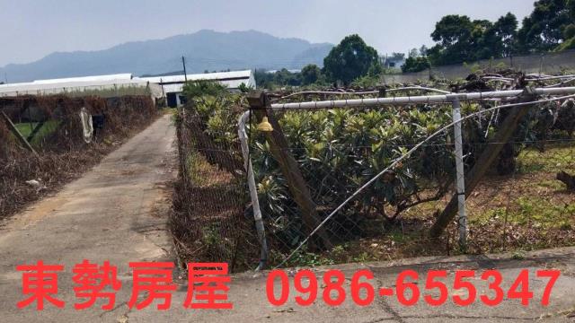 台中新社農地-2