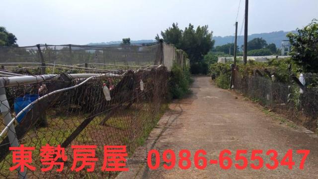 台中新社農地-3