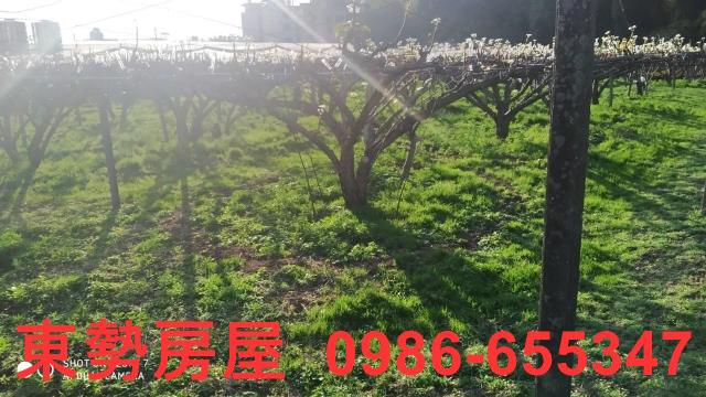 東勢農地-0