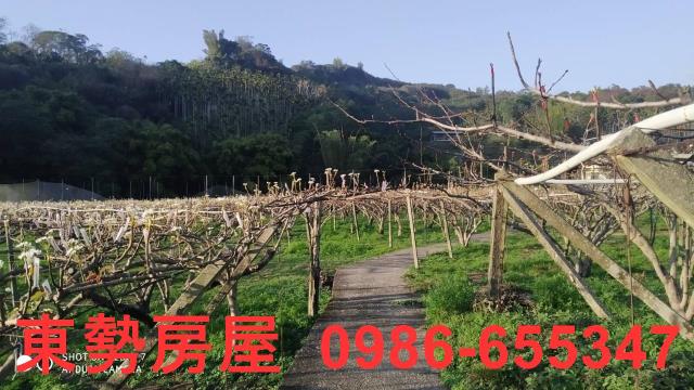 東勢農地-3
