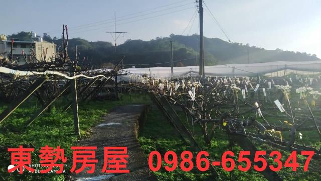 東勢農地-4