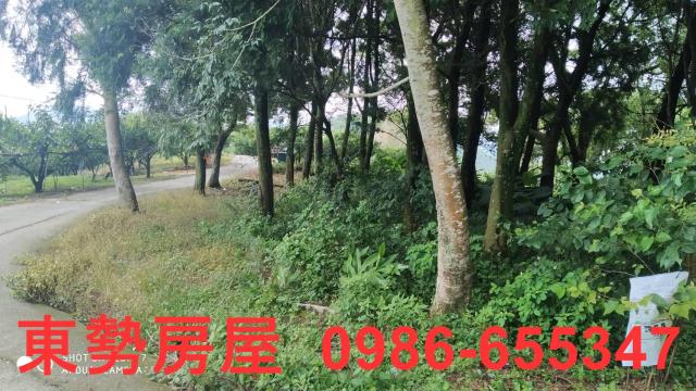 台中東勢農地-0