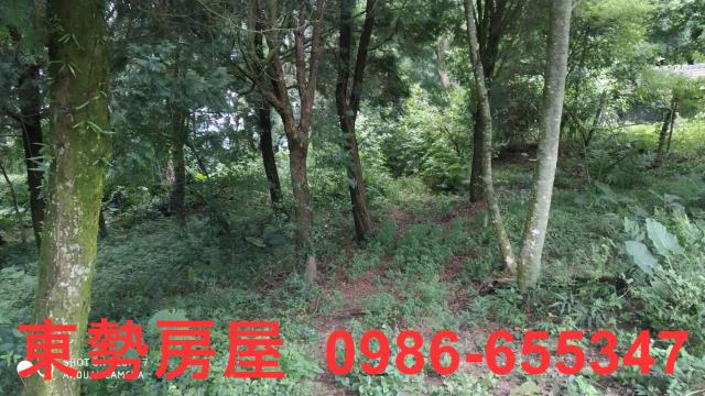 台中東勢農地-1