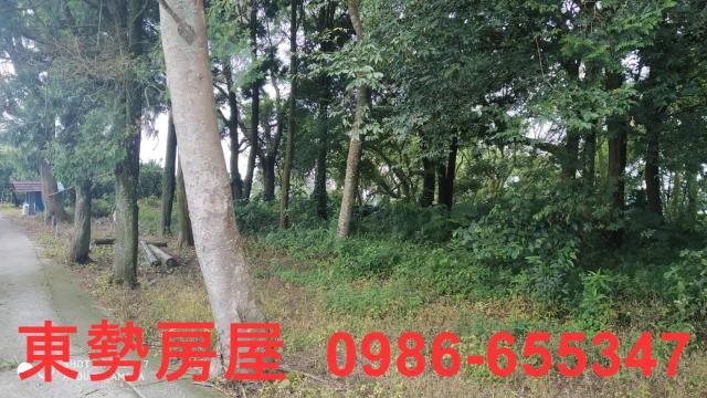 台中東勢農地-2