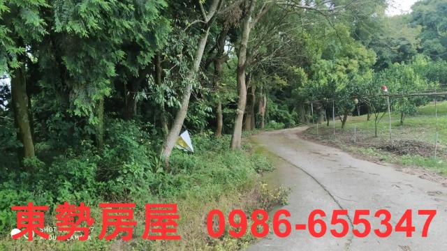 台中東勢農地-3
