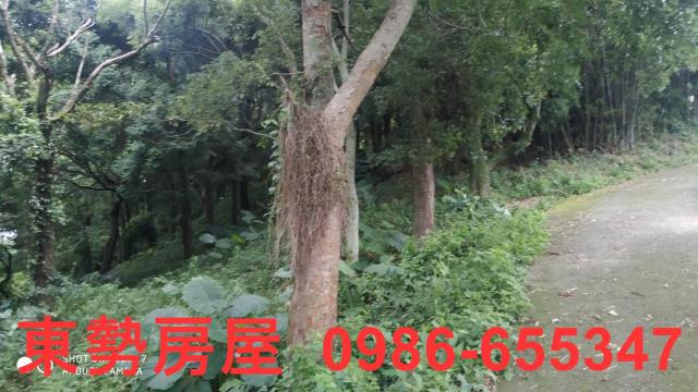 台中東勢農地-4