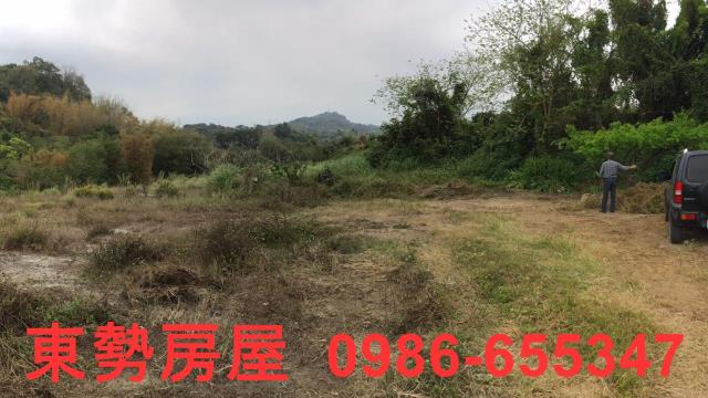 東勢農地-13