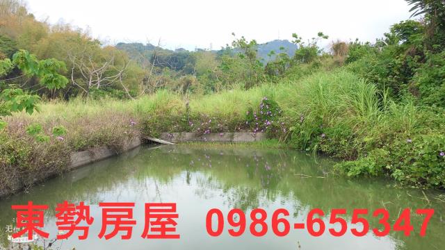 東勢農地-6