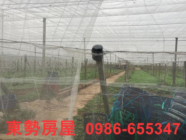 台中農地-0