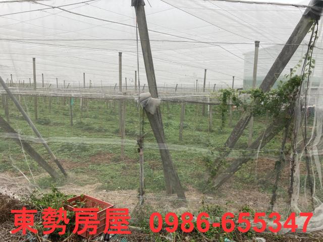 台中農地-2