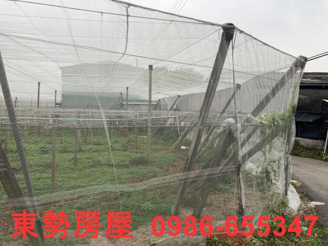 台中農地-7