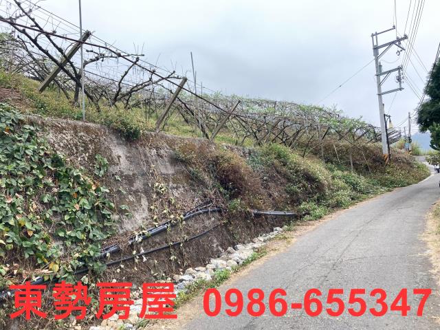 和平農地-10