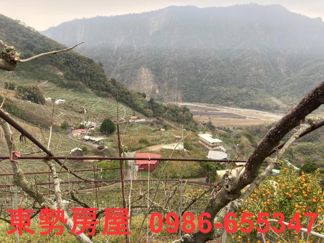和平農地-11