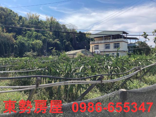 東勢農地-13