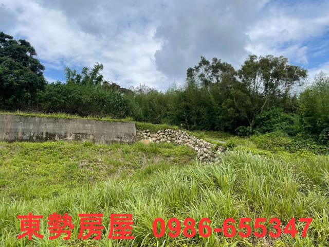 台中東勢農地-8