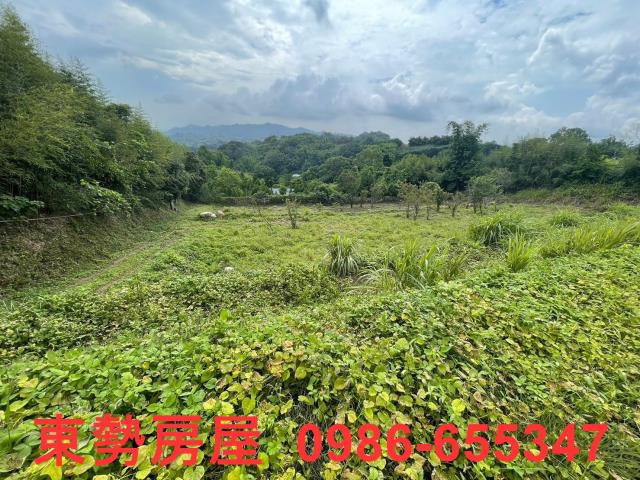台中東勢農地-1
