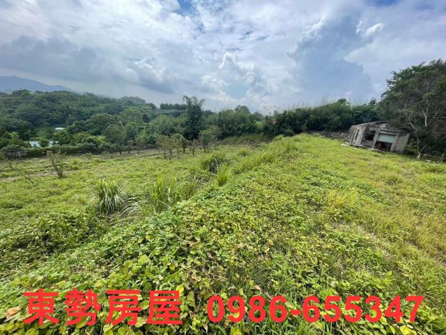 台中東勢農地-2