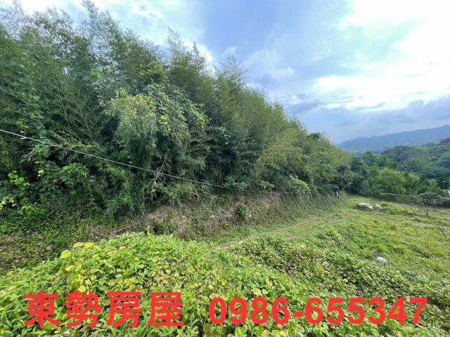 台中東勢農地-4