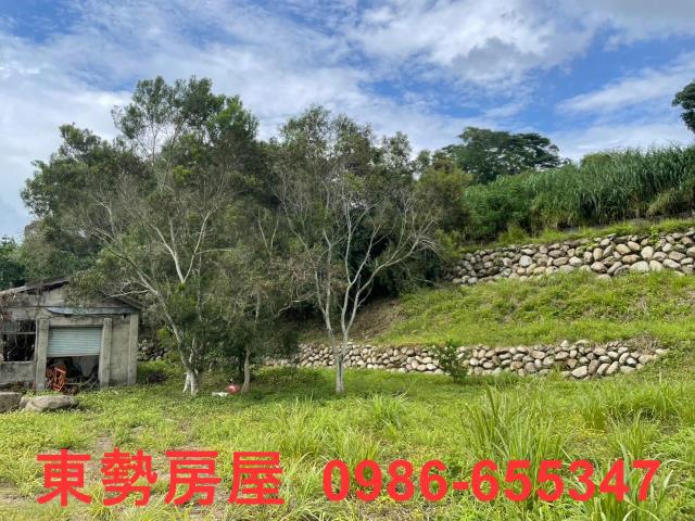 台中東勢農地-7