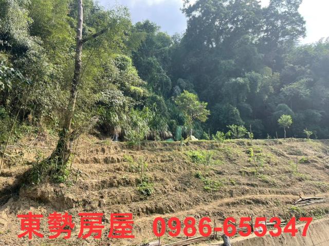 台中東勢農地-10