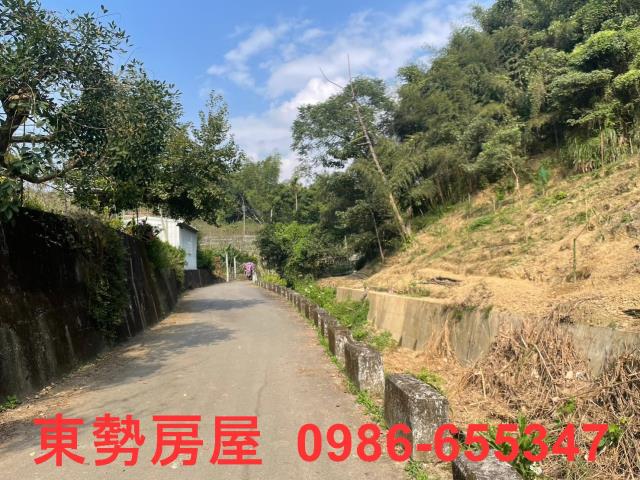 台中東勢農地-11