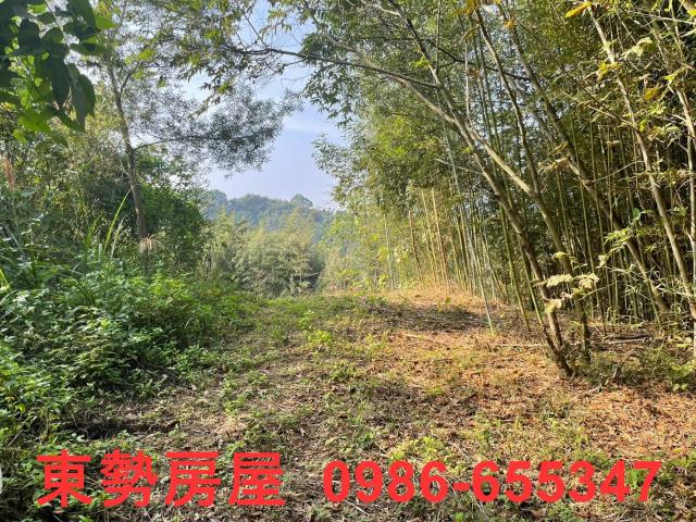 台中東勢農地-12