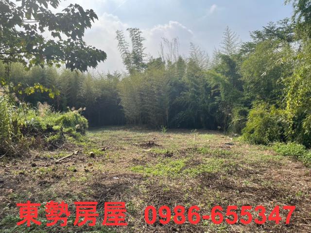 台中東勢農地-13