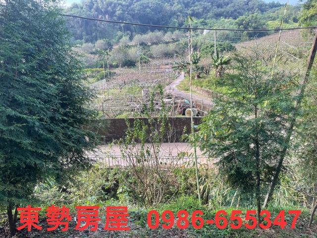 台中東勢農地-2