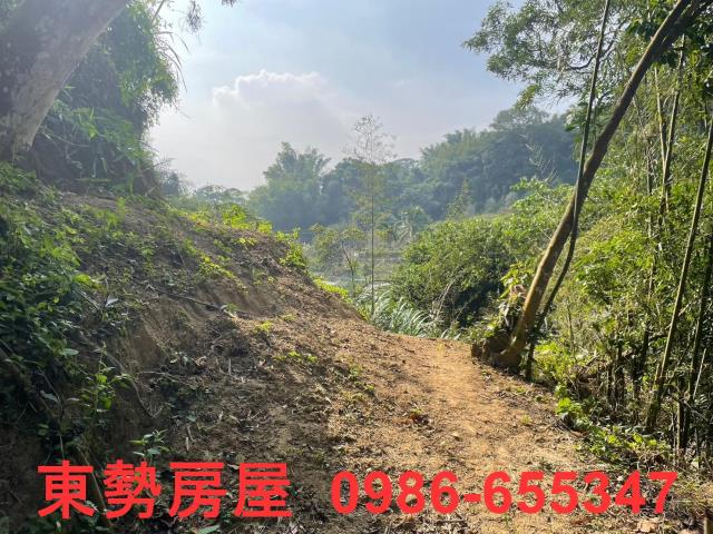 台中東勢農地-3