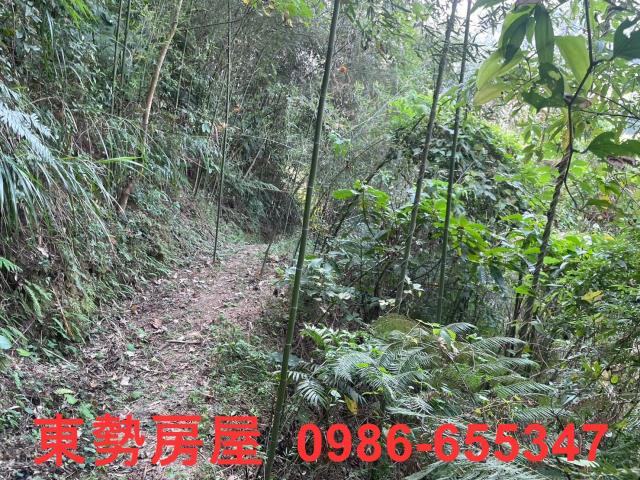 台中東勢農地-4